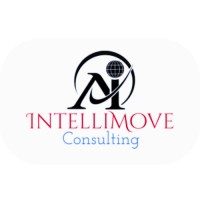 IntelliMove Consulting logo - Similar company to Texcido, Llc
