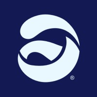 Combinetic logo - Similar company to Netmechanics