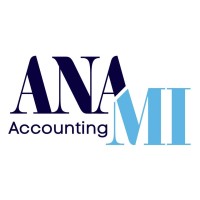 ANAMI Accounting logo - Similar company to Myworld Montenegro