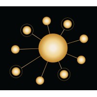 Digisoul logo - Similar company to Irongate Solutions