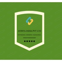 Avinya India Pvt Ltd logo - Similar company to Marketmindus