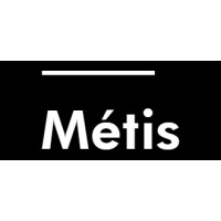 Métis - Consultoria E Gestão Educacional