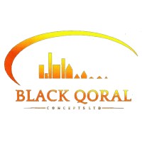 Black Qoral Concepts Limited logo - Similar company to Onyx Properties