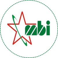PT Maja Bintang Indonesia logo - Similar company to Pt. Multi Protek Sarana