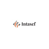 Intasef.com logo - Similar company to Izziedevs