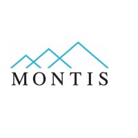 MONTİS DIŞ TİCARET A.Ş logo - Similar company to Mukan Group