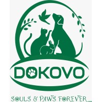 Dokovo Global logo - Similar company to Association For Governance, Risk & Compliance