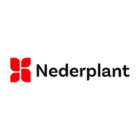 NEDERPLANT BRASIL LTDA logo - Similar company to Freepeat B.V.