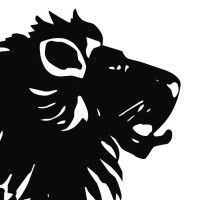 BLACKLION logo - Similar company to Blacklion Group