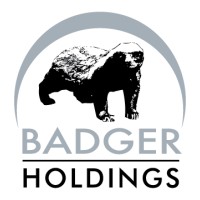 Badger Holdings (Pty) Ltd logo - Similar company to Logos Group Construction