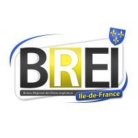 BREI IDF logo - Similar company to Ara Technologies Mea