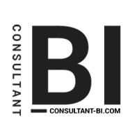 Consultant Business Intelligence logo - Similar company to Vion.Ia