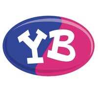 Young Bristol logo - Similar company to Creative Youth Network