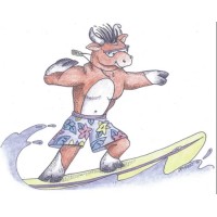 Kokomo Beach Family Aquatic Center