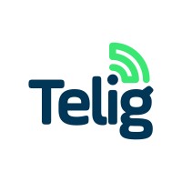 TELIG logo - Similar company to Ib-Hidro