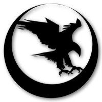 Nighthawk Custom logo - Similar company to Wilson Combat