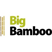 Bigbamboo logo - Similar company to Somanity Motion