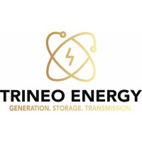 TriNeo Energy Inc logo - Similar company to Trineo