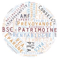 BSC-Patrimoine logo - Similar company to Verisem