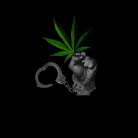 Cruel Consequences: Portraits Of Misguided Law logo - Similar company to Firefly Growth Solutions