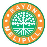 Colegio Rayün Melipilla logo - Similar company to Control Position
