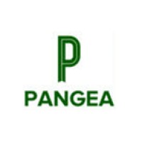 Pangea Org logo - Similar company to Ecom Cfo