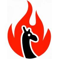 FireLLama Technology Pvt Ltd logo - Similar company to Megsoft