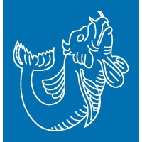 STL Research logo - Similar company to Interface Insight Limited