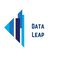 Data leap Driven logo - Similar company to Technology Foresights