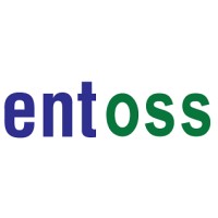 Entoss Technologies logo - Similar company to Gorin Systems