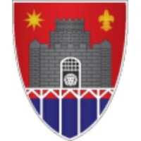 Bridgwater & Albion RFC logo - Similar company to Classroom Capers