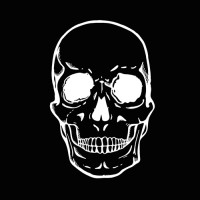 Black Skull Creative logo - Similar company to Tessl