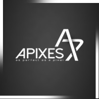 APIXES logo - Similar company to Jas World