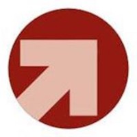 Foco Opinião E Mercado
