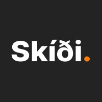 Skidi.Ai
