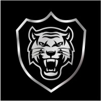 SATFORCE Security Group logo - Similar company to Satforce