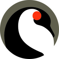 Pingwin logo - Similar company to Positivedigits