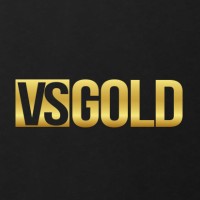 VS GOLD logo - Similar company to Tecnocentro