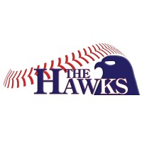 The Hawks Dordrecht - Honk- en softbalvereniging logo - Similar company to Allmovez