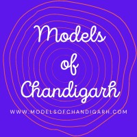 Models of Chandigarh logo - Similar company to Nerdyperv