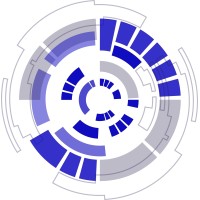 Mastery Insight Institute