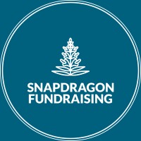 Snapdragon Fundraising logo - Similar company to Good Start Foundation