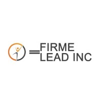 Firme Lead Inc logo - Similar company to Digital Akademy