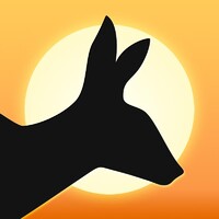 ERGO DESKTOP, LLC logo - Similar company to Next Office Ag