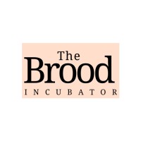 The Brood Incubator logo - Similar company to Ficci Thegreater50 Initiative