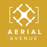 Aerial Avenue - Immersive Visualization Solutions logo - Similar company to Digitalsherpa