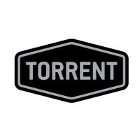 Torrent Shotcrete logo - Similar company to Vantage Resourcing