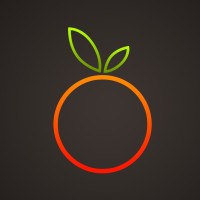 NarenjSystem logo - Similar company to Unrola