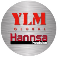 YLM logo - Similar company to Intelnet Inc