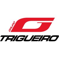 Grupo G Trigueiro logo - Similar company to Activesoft
